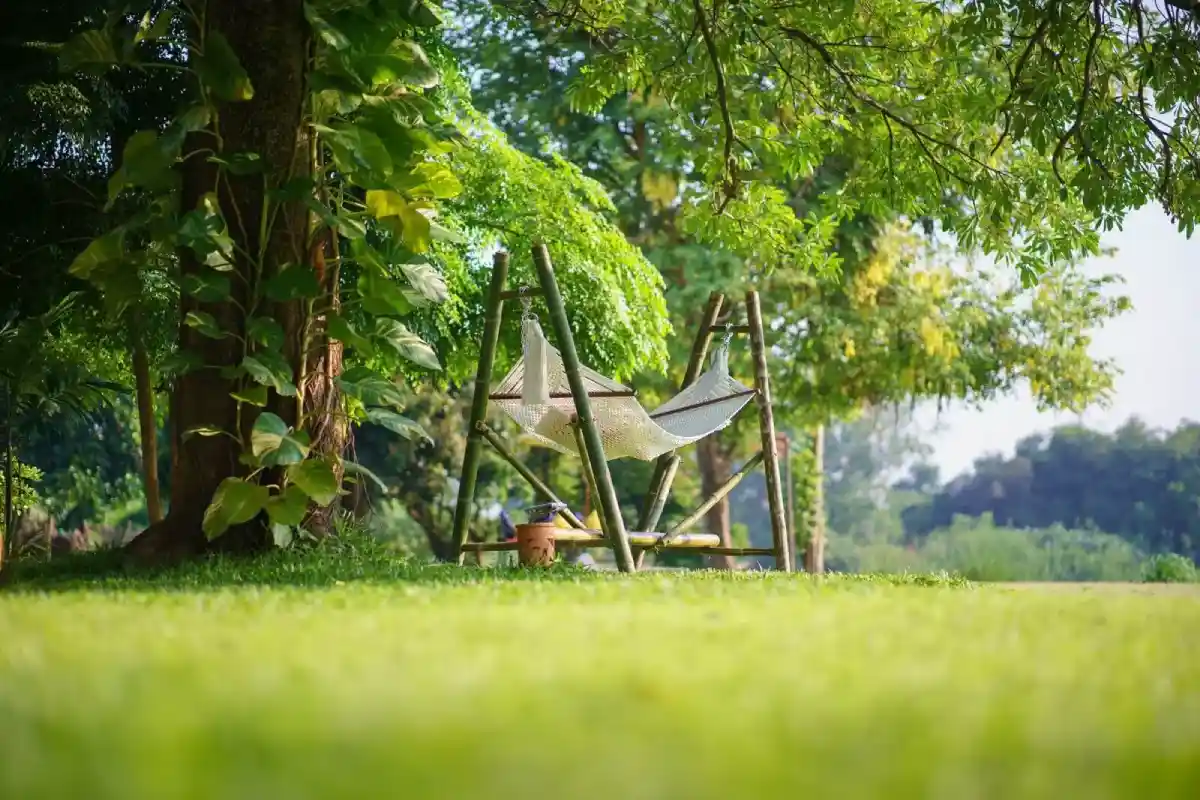 Tranquil garden scene with a bamboo hammock shaded by lush green trees at The Dawn.