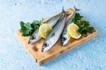raw mackerel top omega 3 food