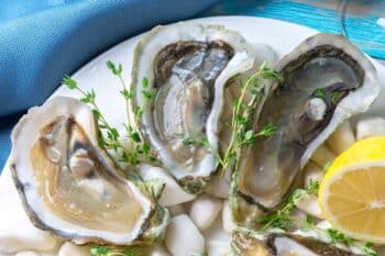 Zinc - raw oysters